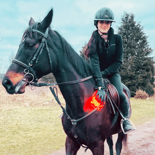 Blue vs. Red Light Therapy for Horses: Benefits & Differences - Lumaflex